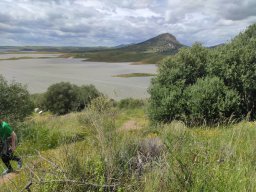 Flora del Cerro Masatrigo